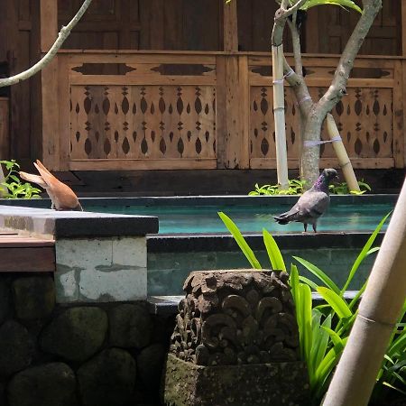 Melati Bali Homestay Canggu Buitenkant foto