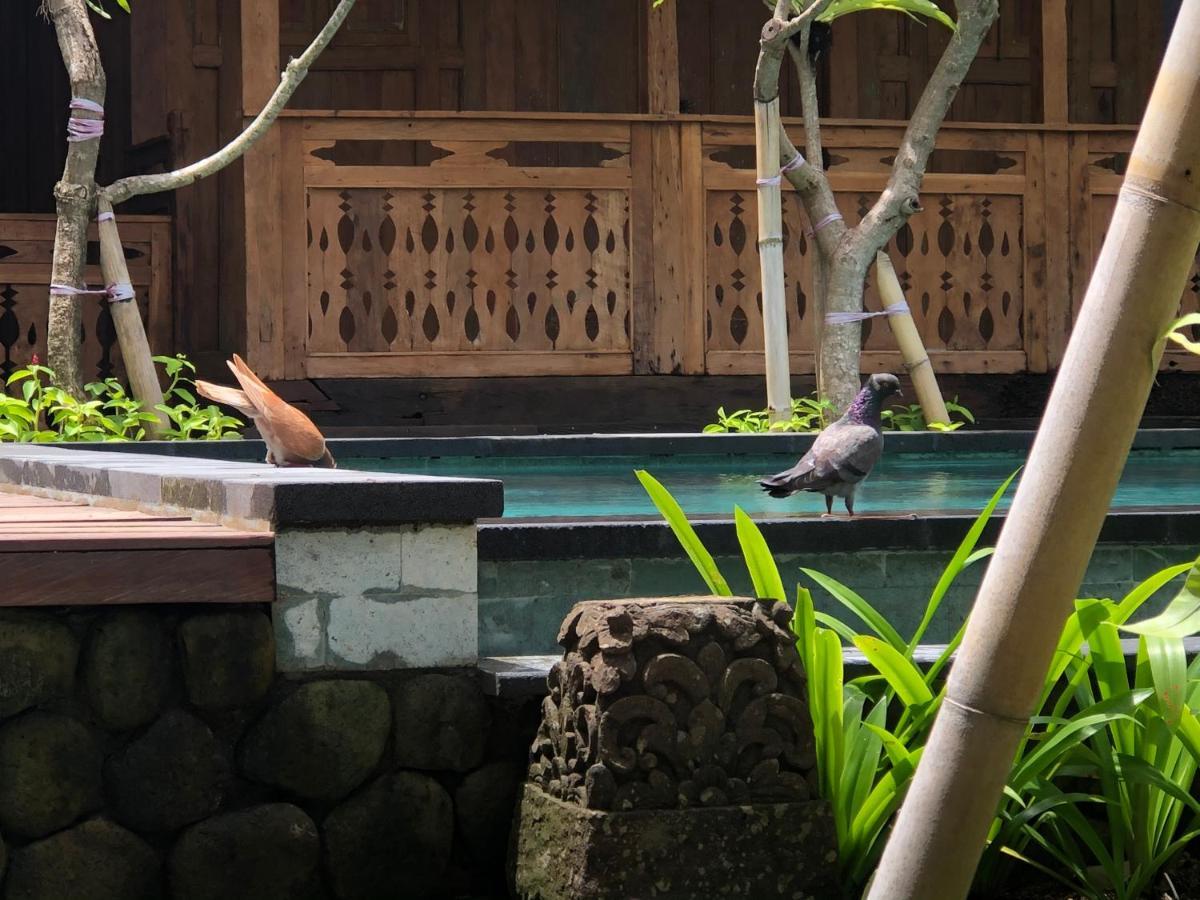 Melati Bali Homestay Canggu Buitenkant foto