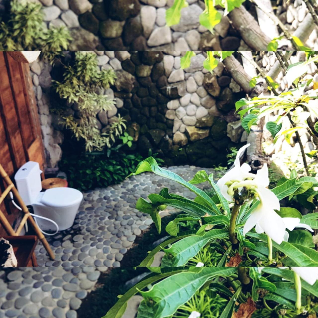 Melati Bali Homestay Canggu Buitenkant foto